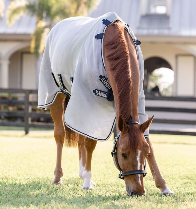 Horseware Rambo® Protector Fieldsafe Fly Sheet - Horseware Ireland - Equiluxe Tack