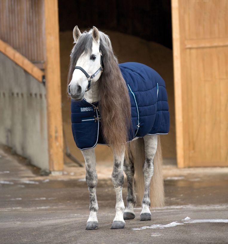 Horseware Rambo® Stable Blanket with Embossed Lining (200g Medium) - Horseware Ireland - Equiluxe Tack