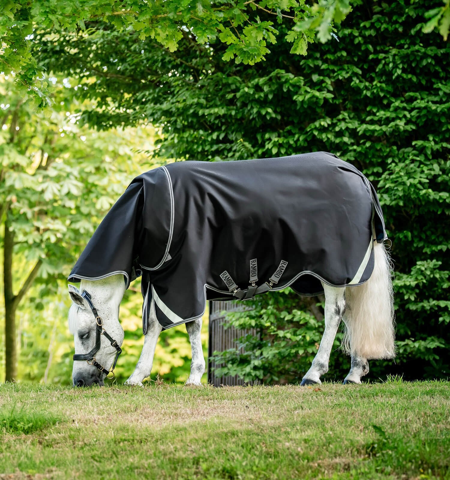Horseware Rambo® Supreme 1680D Turnout (50g Light) - Horseware Ireland - Equiluxe Tack