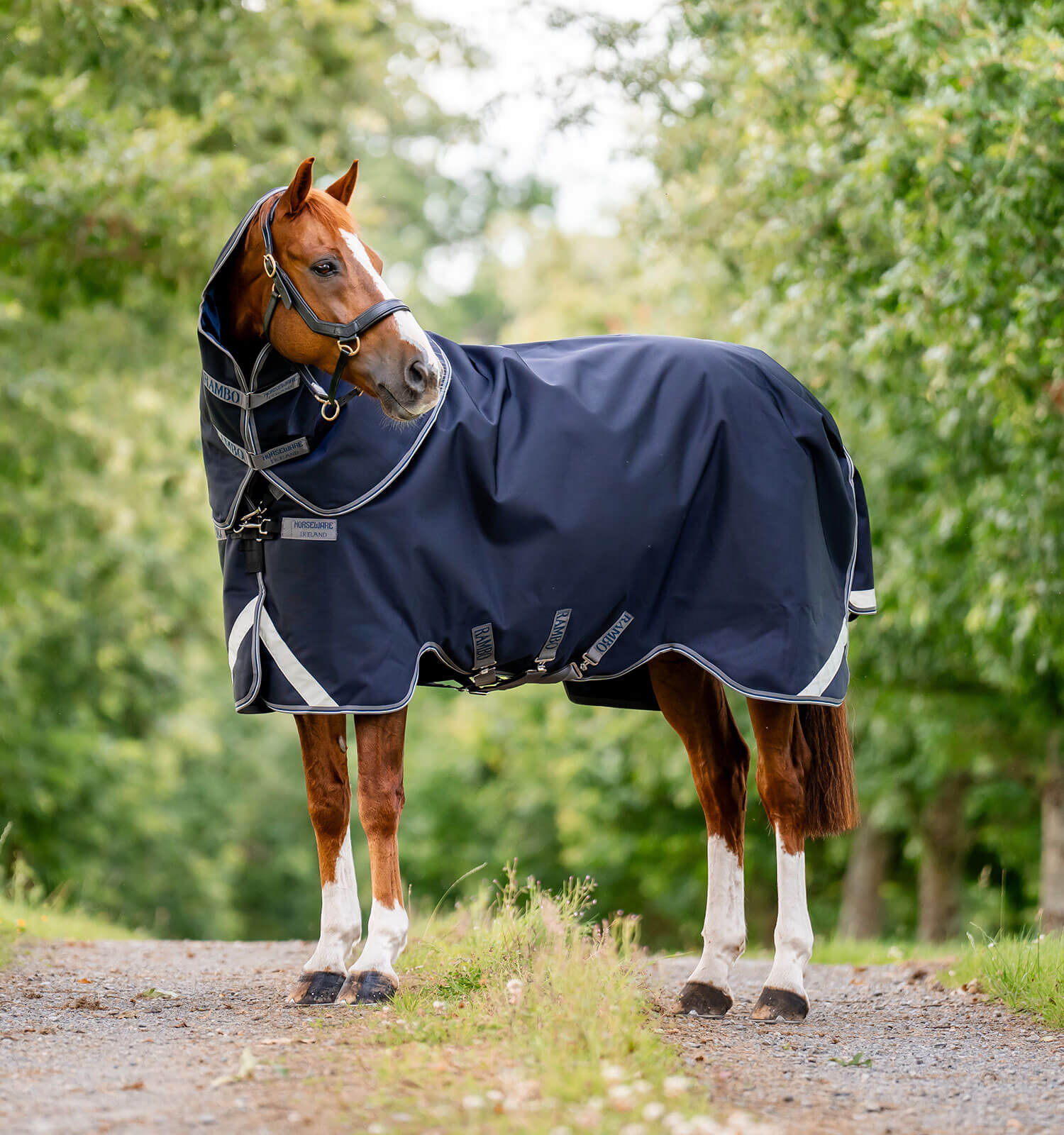 Horseware Rambo® Supreme 1680D Vari - Layer Turnout (250g Medium) - Horseware Ireland - Equiluxe Tack