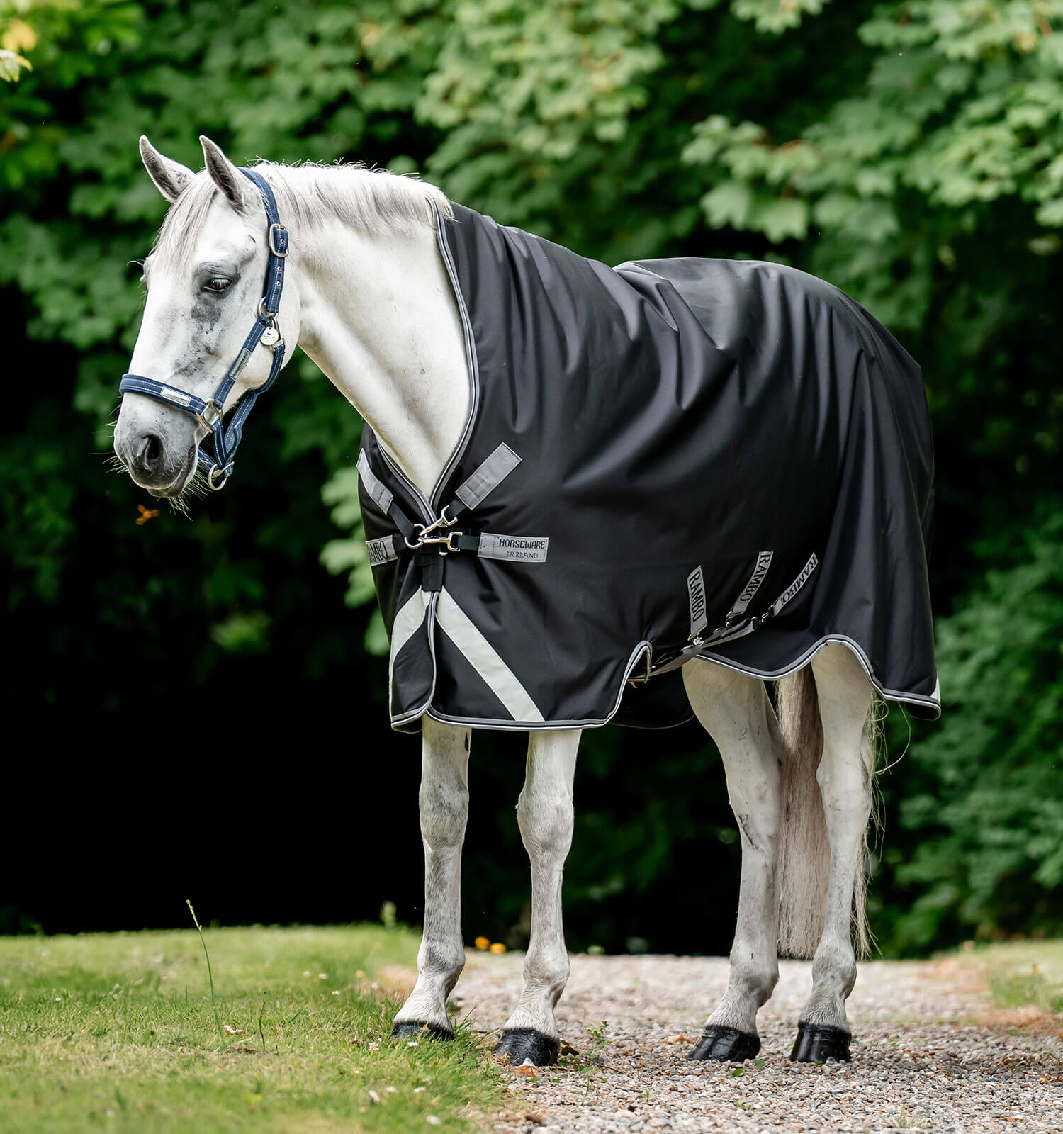 Horseware Rambo® Wug Turnout (200g Medium) - Horseware Ireland - Equiluxe Tack