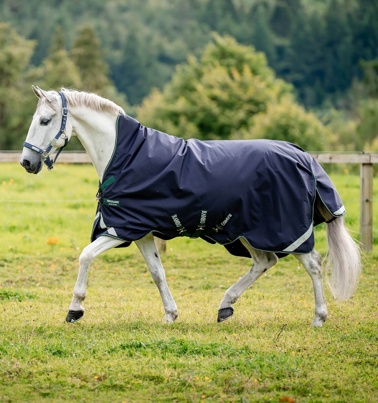Horseware Rambo® Wug Turnout (400g Heavy) - Horseware Ireland - Equiluxe Tack