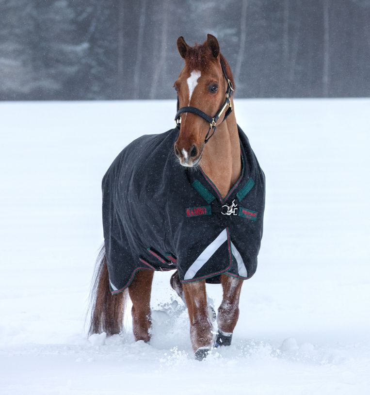 Horseware Rambo® Wug Turnout (400g Heavy) - Horseware Ireland - Equiluxe Tack