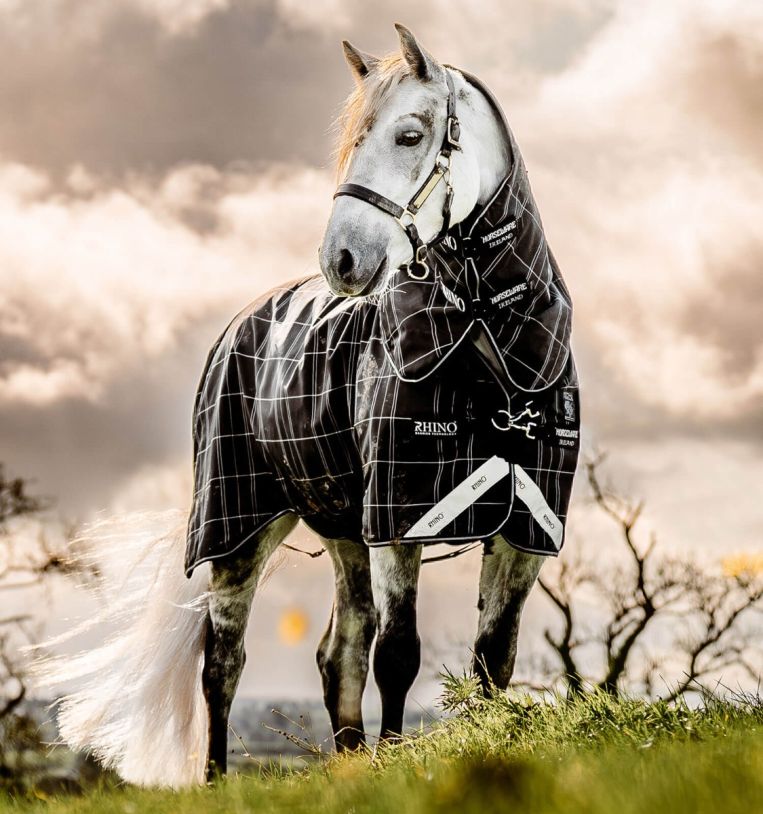 Horseware Rhino® Bundle Pony Turnout (0g Outer with 200g Liner) - Horseware Ireland - Equiluxe Tack