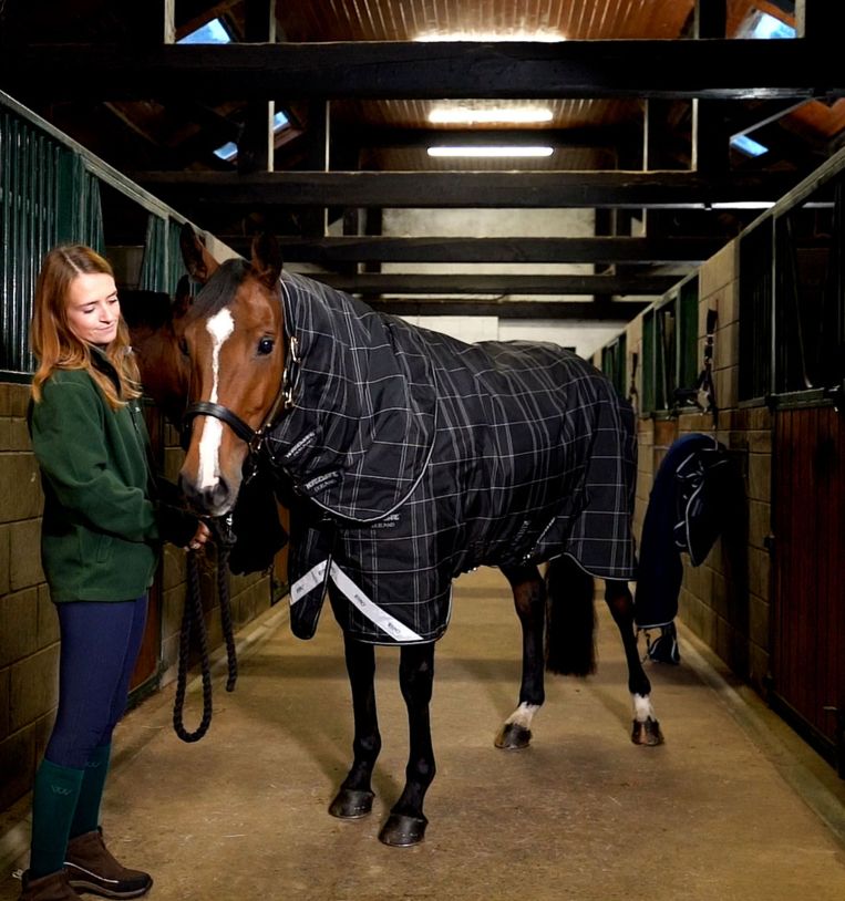Horseware Rhino® Bundle Turnout (0g Outer with 200g Liner) - Horseware Ireland - Equiluxe Tack