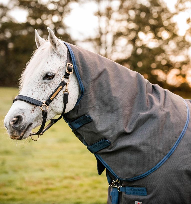 Horseware Rhino® Hexstop Plus Vari - Layer Turnout (250g Medium) - Horseware Ireland - Equiluxe Tack