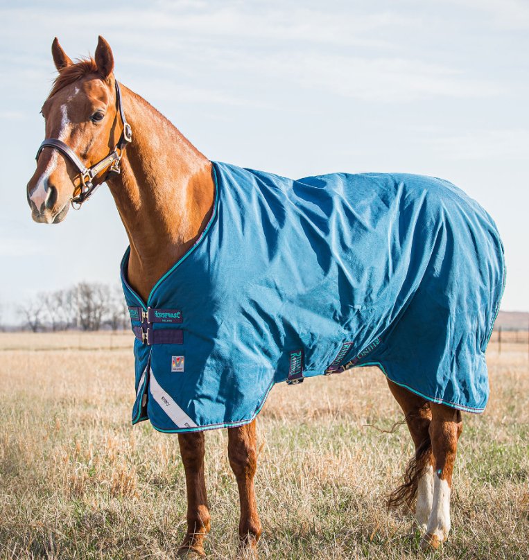 Horseware Rhino® Original Vari - Layer Turnout (250g Medium) - Horseware Ireland - Equiluxe Tack