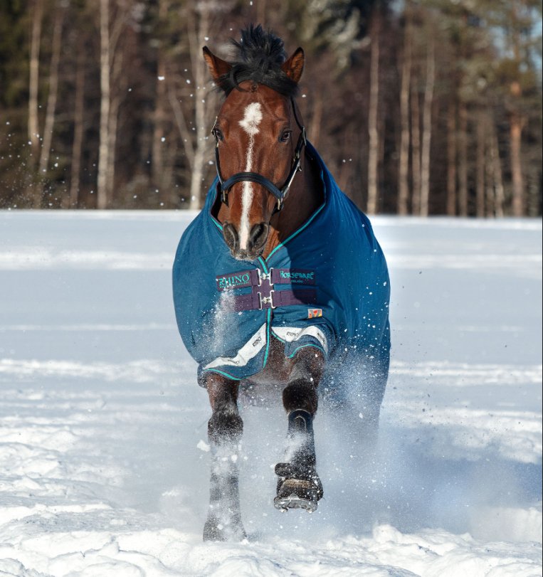 Horseware Rhino® Original Vari - Layer Turnout (250g Medium) - Horseware Ireland - Equiluxe Tack