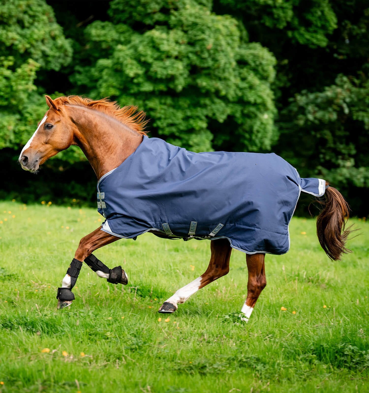 Horseware Rhino® Original Vari - Layer Turnout (250g Medium) - Horseware Ireland - Equiluxe Tack