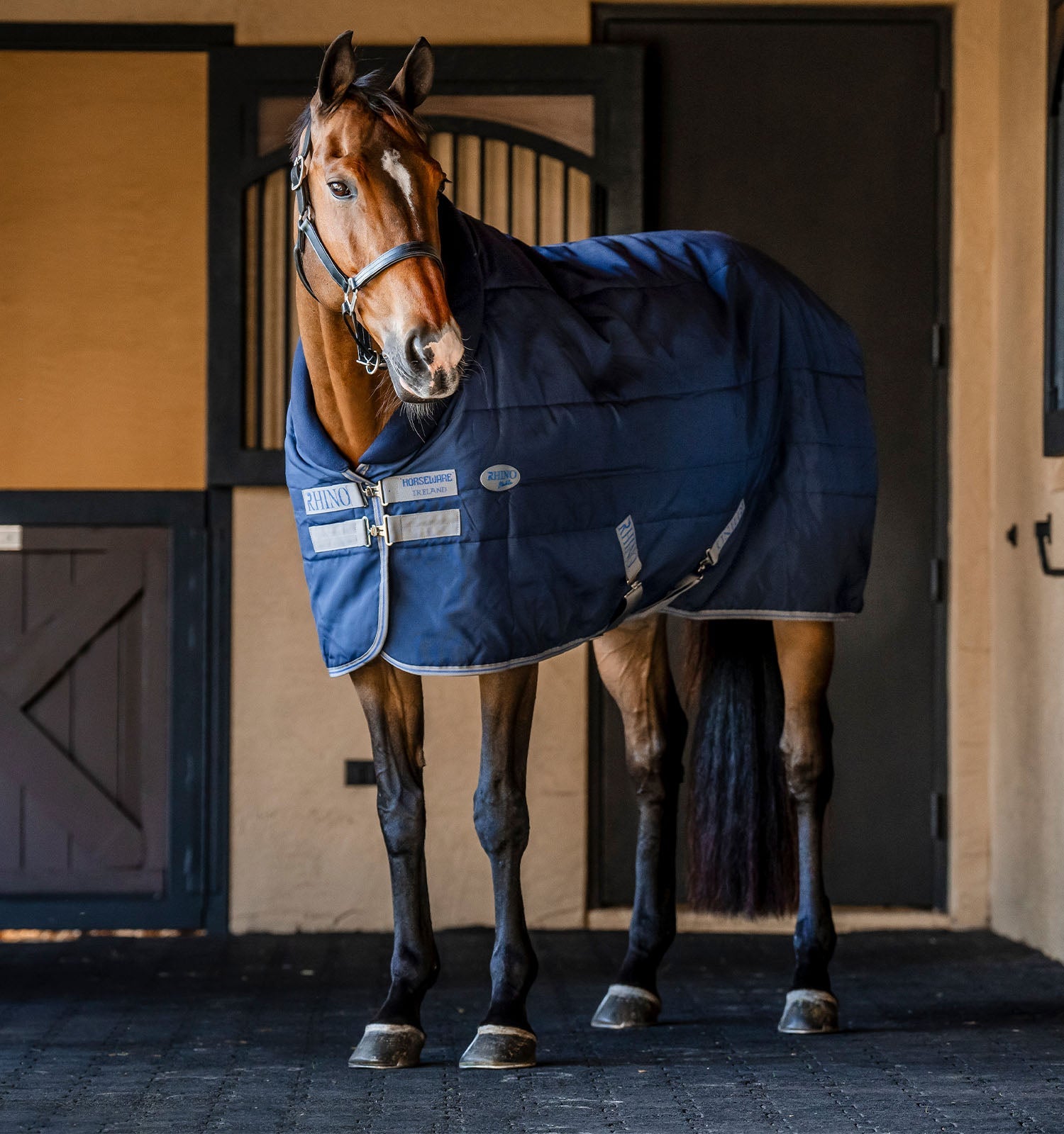 Horseware Rhino® Stable 100g - Horseware Ireland - Equiluxe Tack