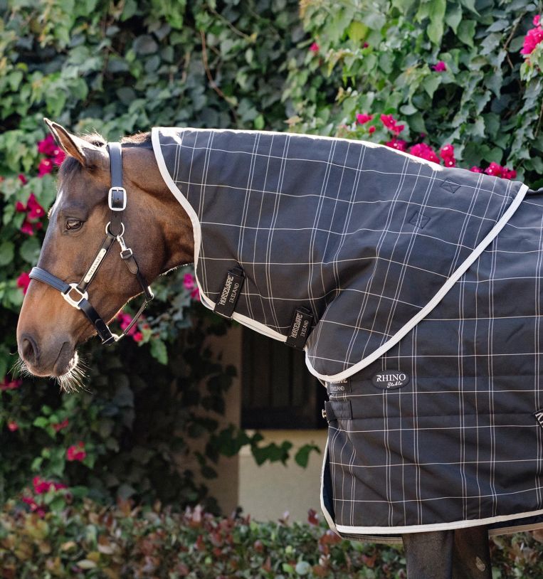 Horseware Rhino® Stable Hood 200g - Horseware Ireland - Equiluxe Tack