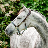 Horseware® Signature Braided Halter - Horseware Ireland - Equiluxe Tack