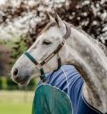 Horseware® Signature Braided Halter - Horseware Ireland - Equiluxe Tack
