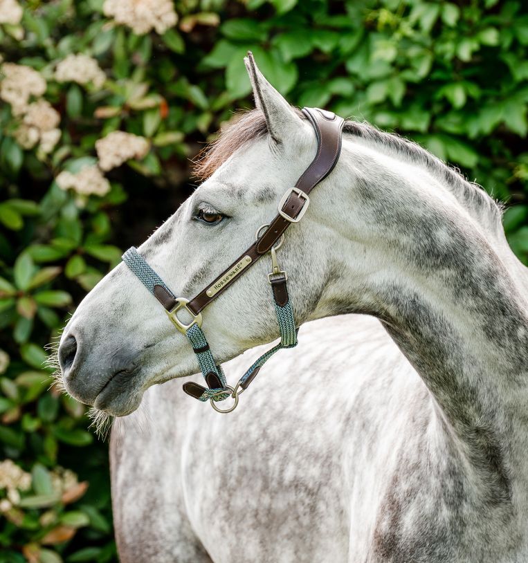 Horseware® Signature Braided Hybrid Leather & Rope Halter - Horseware Ireland - Equiluxe Tack