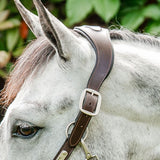 Horseware® Signature Braided Hybrid Leather & Rope Halter - Horseware Ireland - Equiluxe Tack