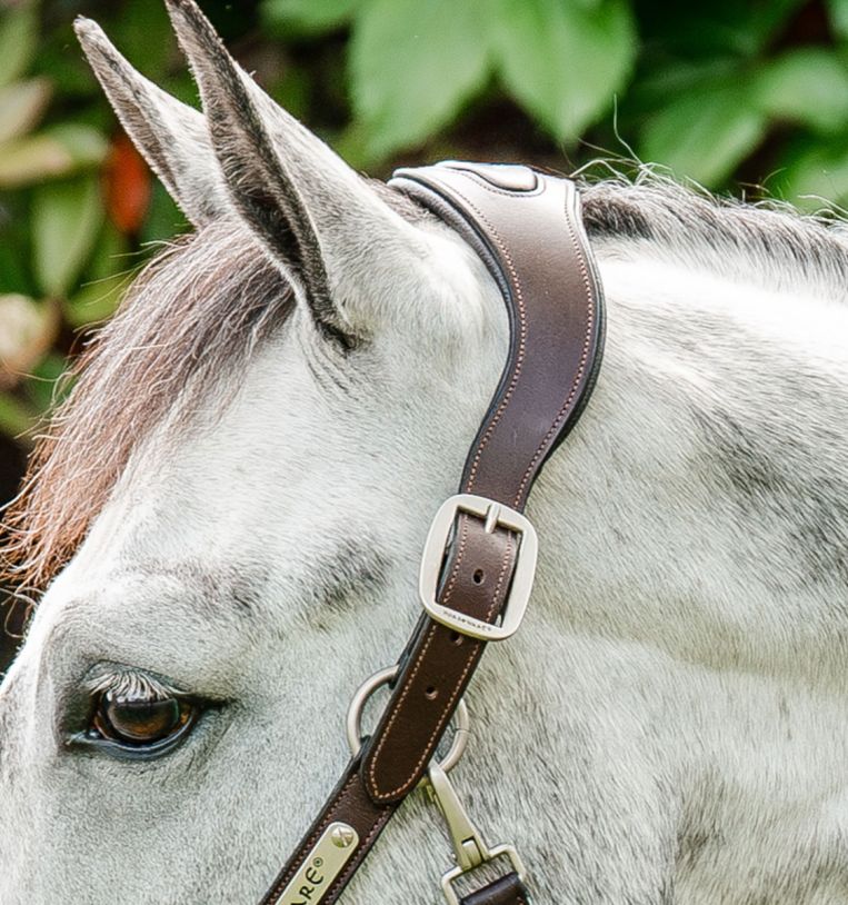 Horseware® Signature Braided Hybrid Leather & Rope Halter - Horseware Ireland - Equiluxe Tack