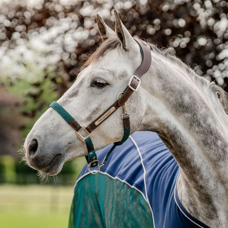 Horseware® Signature Braided Hybrid Leather & Rope Halter - Horseware Ireland - Equiluxe Tack