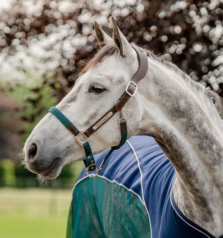 Horseware® Signature Braided Hybrid Leather & Rope Halter - Horseware Ireland - Equiluxe Tack