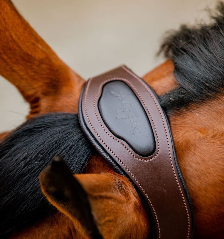 Horseware® Signature Competition Halter - Horseware Ireland - Equiluxe Tack