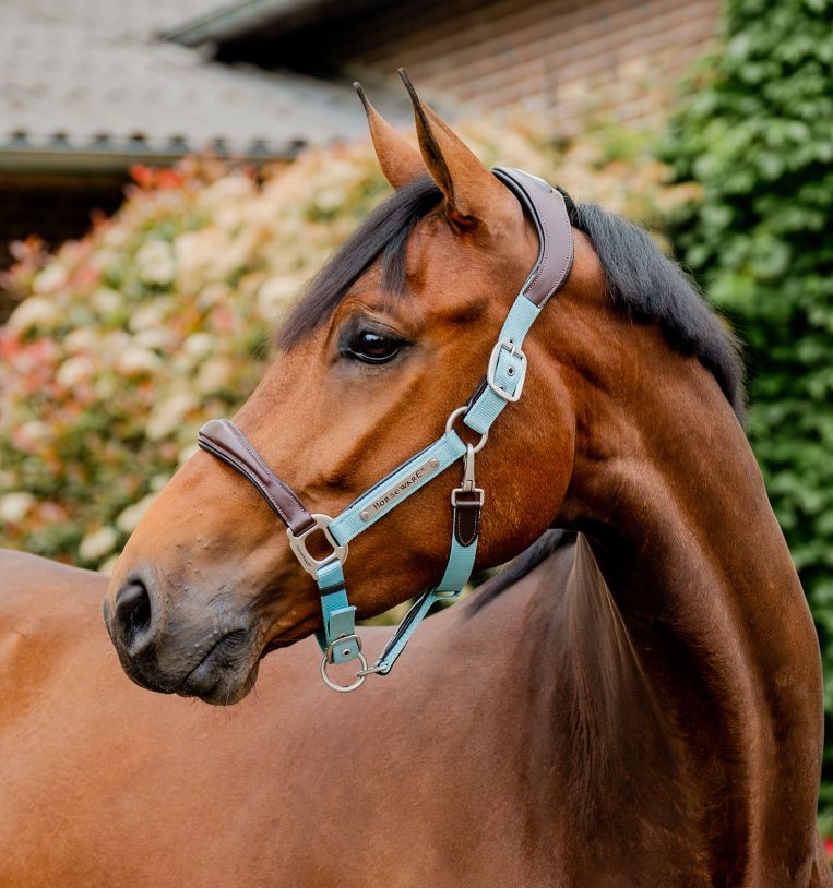 Horseware® Signature Competition Hybrid Leather & Nylon Halter - Horseware Ireland - Equiluxe Tack