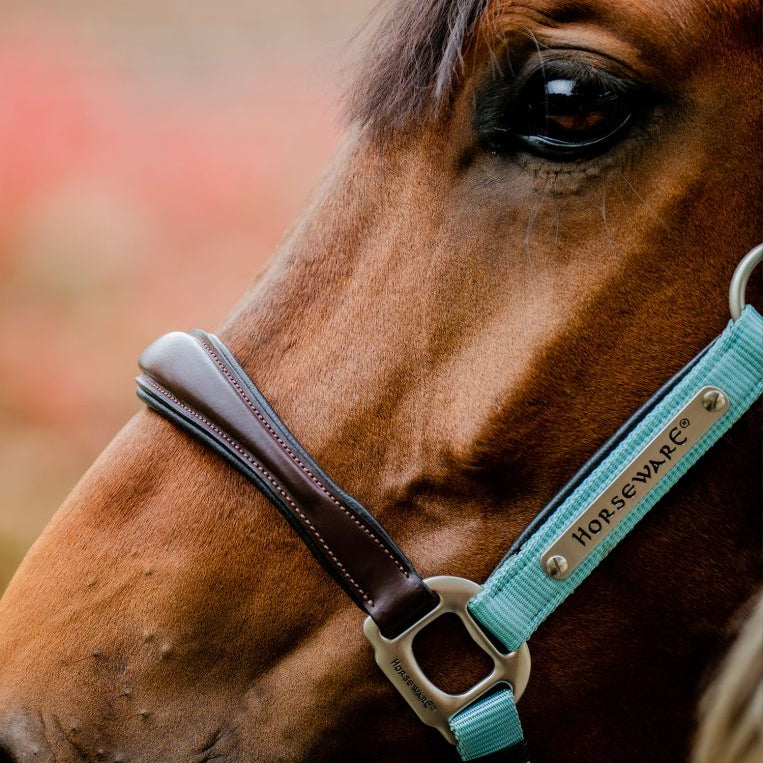 Horseware® Signature Competition Hybrid Leather & Nylon Halter - Horseware Ireland - Equiluxe Tack