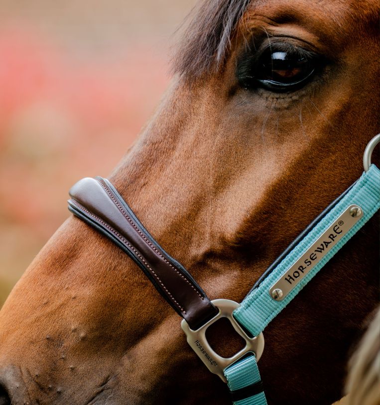 Horseware® Signature Competition Hybrid Leather & Nylon Halter - Horseware Ireland - Equiluxe Tack