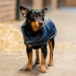 Horseware® Signature Dog Blanket (200g Medium) - Horseware Ireland - Equiluxe Tack