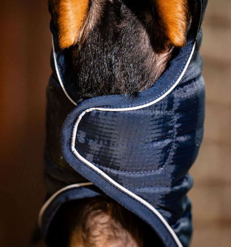 Horseware® Signature Dog Blanket (200g Medium) - Horseware Ireland - Equiluxe Tack