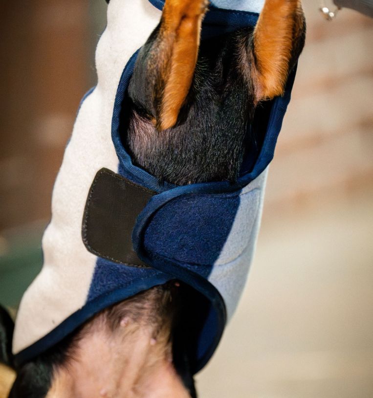 Horseware® Signature Dog Fleece (No Fill) - Horseware Ireland - Equiluxe Tack