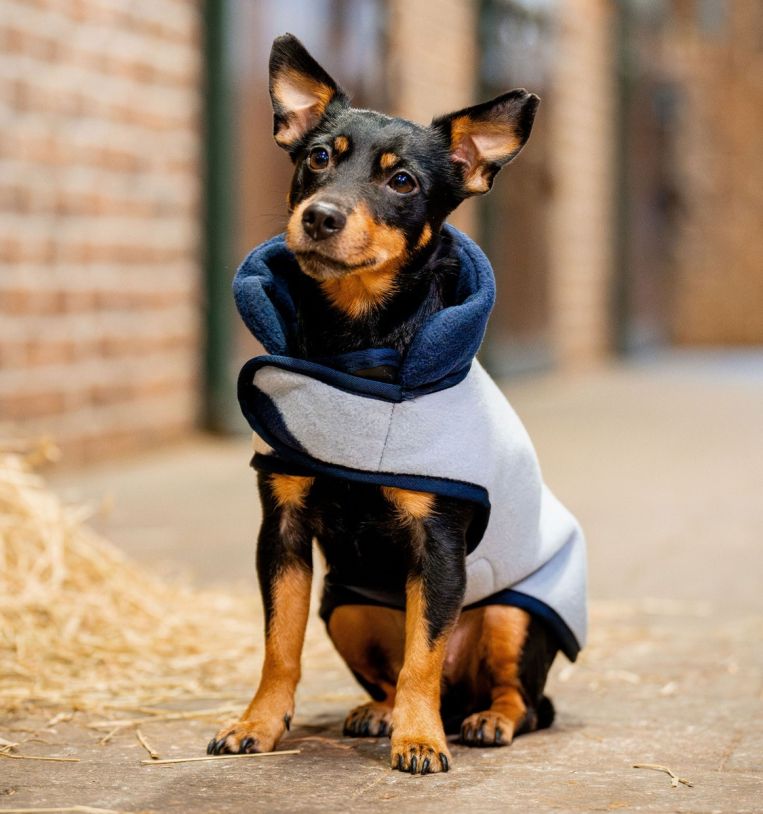 Horseware® Signature Dog Fleece (No Fill) - Horseware Ireland - Equiluxe Tack