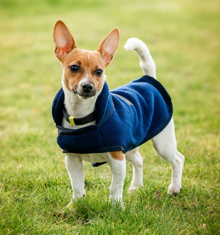 Horseware® Signature Dog Fleece (No Fill) - Horseware Ireland - Equiluxe Tack