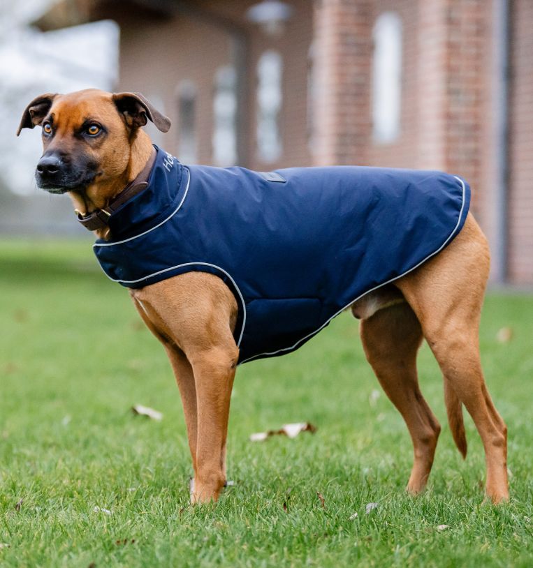 Horseware® Signature Dog Rain Coat 100g - Horseware Ireland - Equiluxe Tack