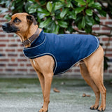 Horseware® Signature Dog Rain Coat 100g - Horseware Ireland - Equiluxe Tack