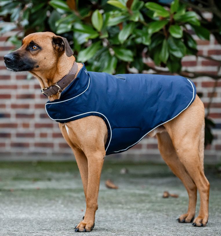 Horseware® Signature Dog Rain Coat 100g - Horseware Ireland - Equiluxe Tack