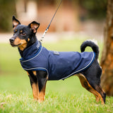 Horseware® Signature Dog Rain Coat (No Fill) - Horseware Ireland - Equiluxe Tack