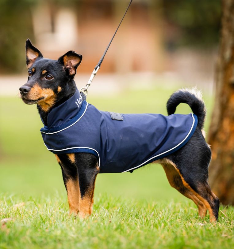 Horseware® Signature Dog Rain Coat (No Fill) - Horseware Ireland - Equiluxe Tack