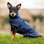 Horseware® Signature Dog Rain Coat (No Fill) - Horseware Ireland - Equiluxe Tack