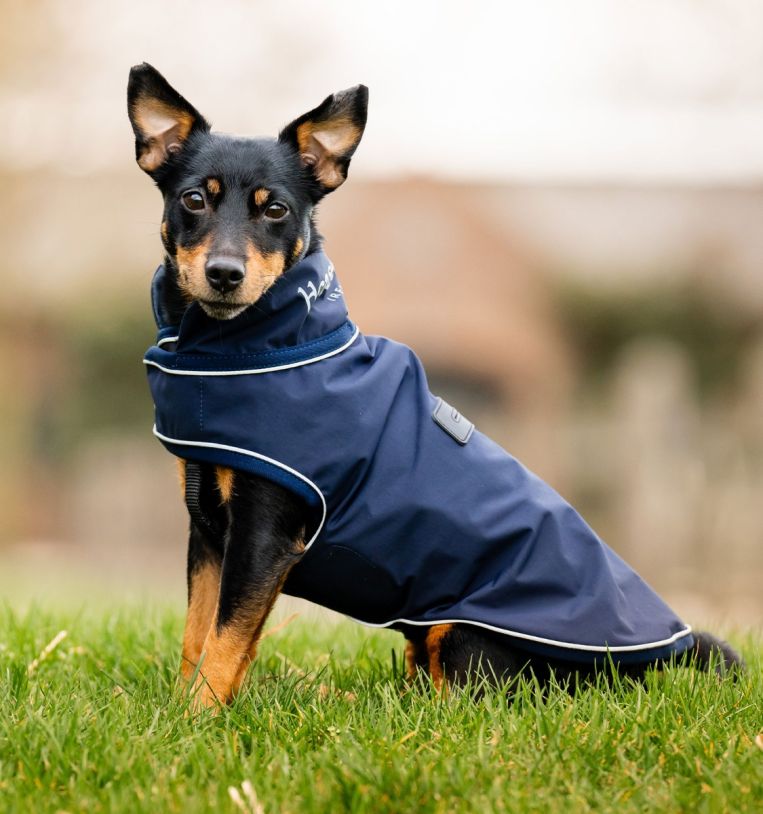 Horseware® Signature Dog Rain Coat (No Fill) - Horseware Ireland - Equiluxe Tack