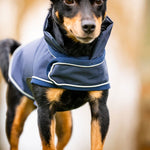 Horseware® Signature Dog Rain Coat (No Fill) - Horseware Ireland - Equiluxe Tack