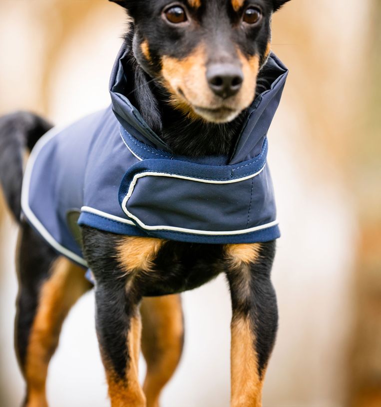 Horseware® Signature Dog Rain Coat (No Fill) - Horseware Ireland - Equiluxe Tack