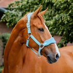 Horseware® Signature Grooming Halter - Horseware Ireland - Equiluxe Tack