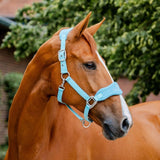 Horseware® Signature Grooming Halter - Horseware Ireland - Equiluxe Tack