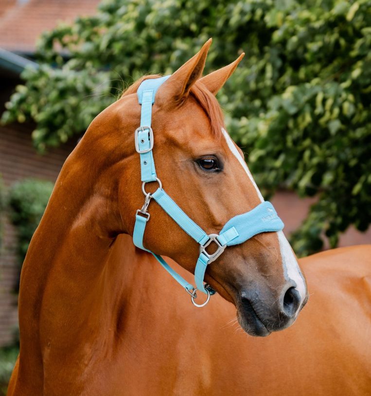 Horseware® Signature Grooming Halter - Horseware Ireland - Equiluxe Tack