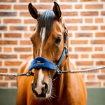 Horseware® Signature Grooming Halter - Horseware Ireland - Equiluxe Tack