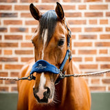 Horseware® Signature Grooming Halter - Horseware Ireland - Equiluxe Tack