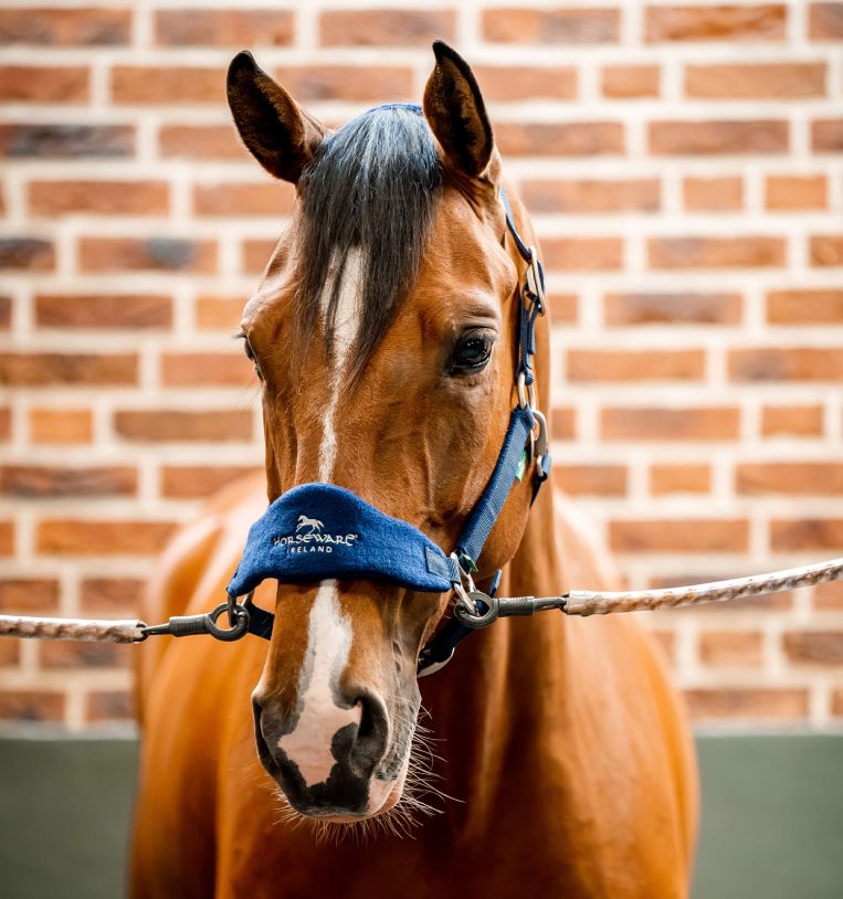 Horseware® Signature Grooming Halter - Horseware Ireland - Equiluxe Tack