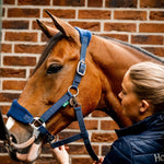 Horseware® Signature Grooming Halter - Horseware Ireland - Equiluxe Tack