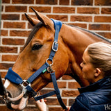 Horseware® Signature Grooming Halter - Horseware Ireland - Equiluxe Tack