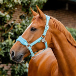 Horseware® Signature Grooming Halter - Horseware Ireland - Equiluxe Tack