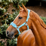 Horseware® Signature Grooming Halter - Horseware Ireland - Equiluxe Tack